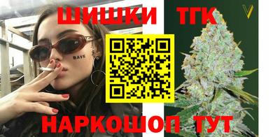 амф Кингисепп