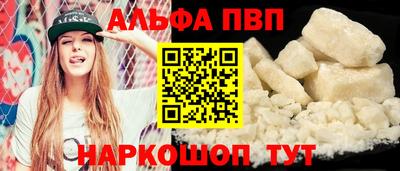 амф Кингисепп