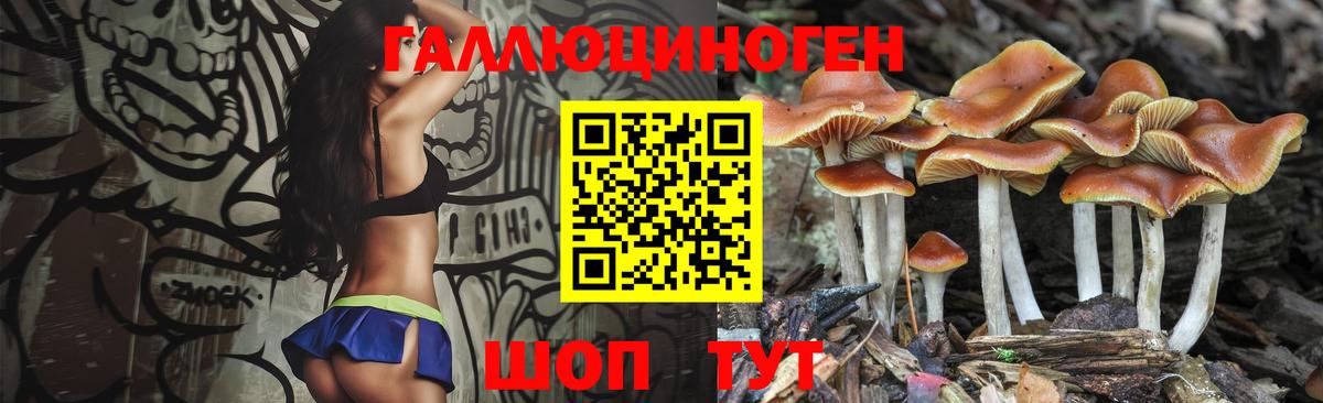 Галлюциногенные грибы Psilocybe  Галлюциногенные грибы MAGIC MUSHROOMS  Азнакаево  купить наркотики цена  Вход с VPN 